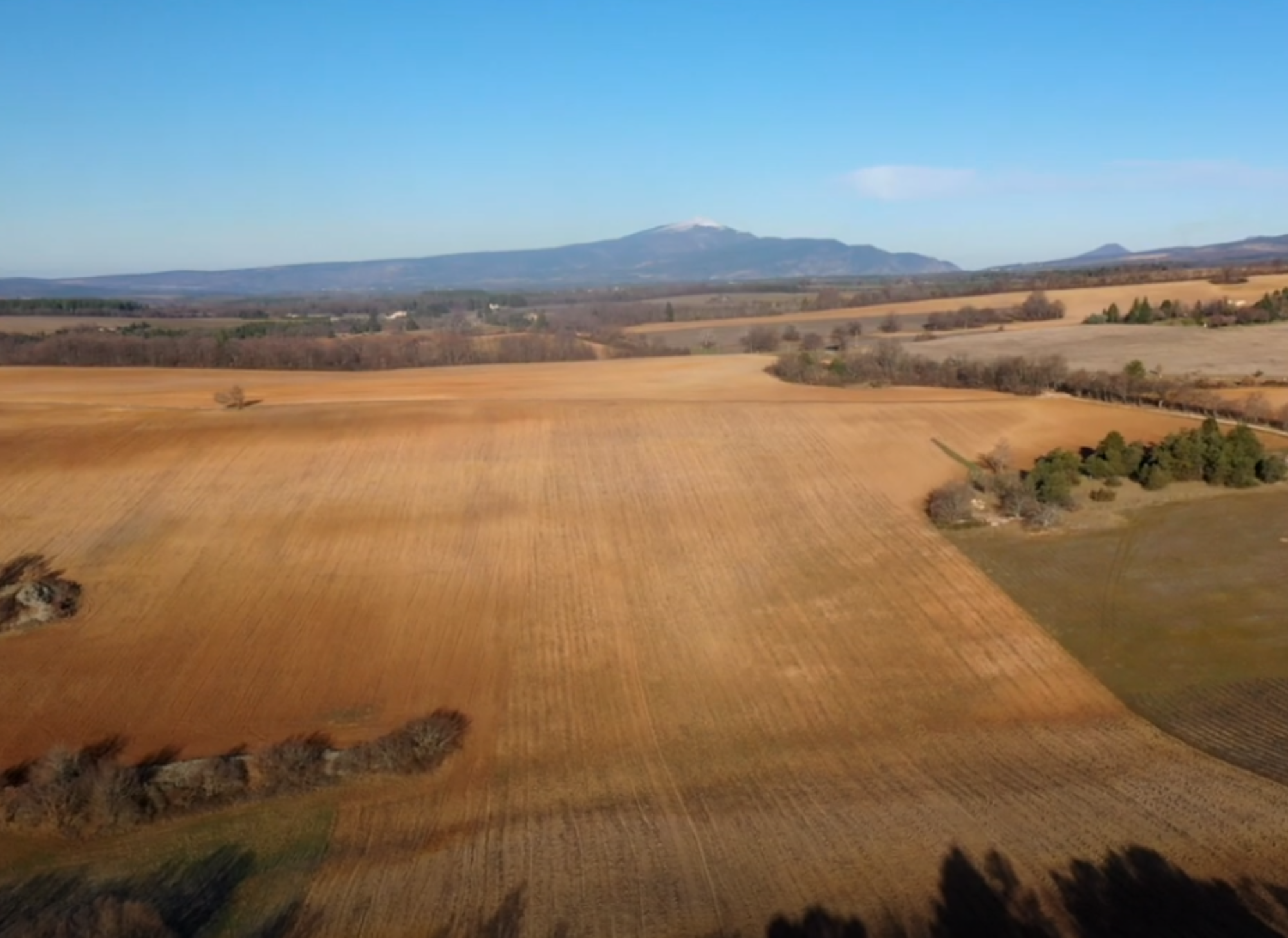 Le Roy René s'engage avec Act For Planet pour la préservation des châtaigniers